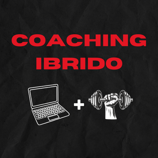 HYBRID COACHING